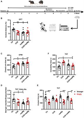 Replenished microglia partially rescue schizophrenia-related stress response